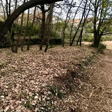 Terre Di Monacella Сasa de vacaciones Santa Venerina